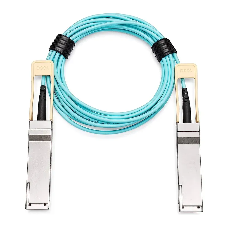 Mellanox MFS1S00-H005V