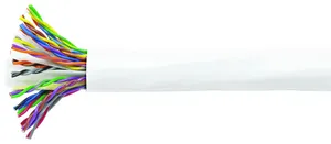 CommScope 1427278-1 | 3061B Cat5e U/UTP Cable, LSZH, White Jacket, 25 pair count, 1000 ft (305 M) length reel