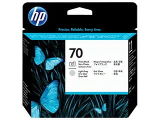 HP 70 Photo Black and Light Gray DesignJet Printhead (C9407A) — HP product image