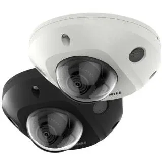Hikvision DS-2CD2543G2-I(WS) 4 MP AcuSense Built-in Mic Fixed Mini Dome Network Camera
